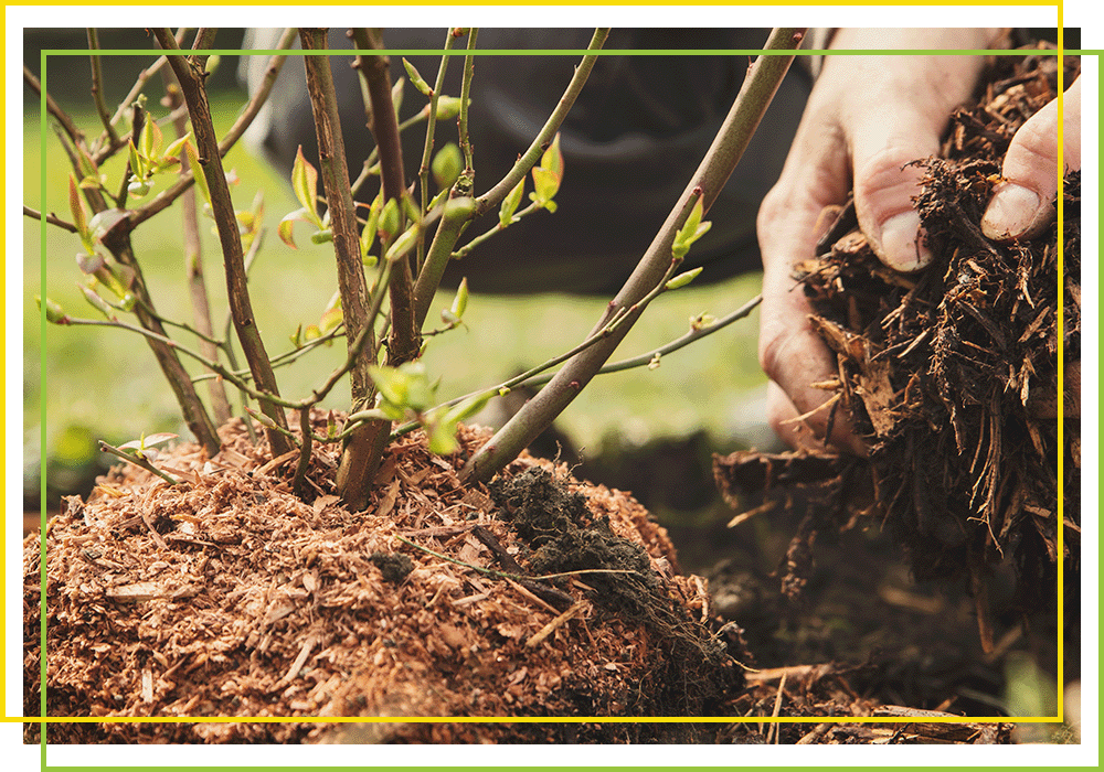 Best Landscapers Greensboro & the Triad 4th Generation Landscaping N